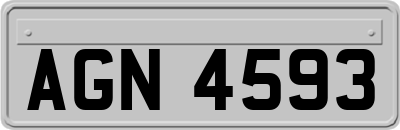AGN4593