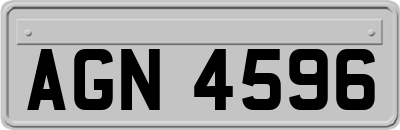 AGN4596
