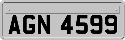 AGN4599