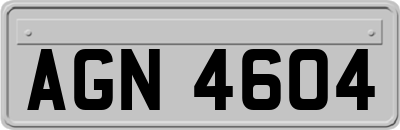 AGN4604