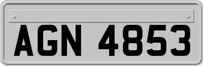 AGN4853