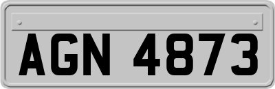 AGN4873