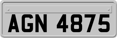 AGN4875