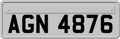 AGN4876