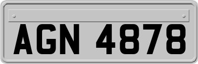 AGN4878