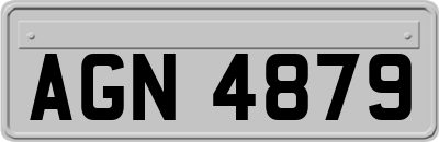 AGN4879