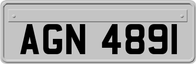 AGN4891