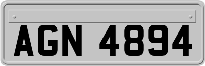 AGN4894
