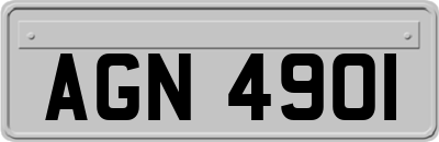 AGN4901