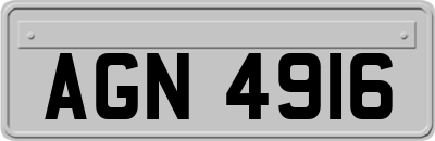 AGN4916