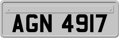 AGN4917