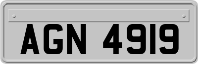 AGN4919