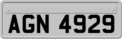 AGN4929
