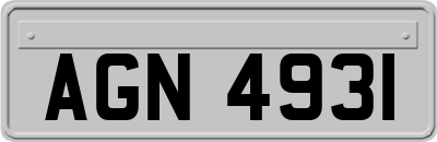 AGN4931