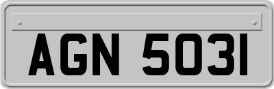 AGN5031