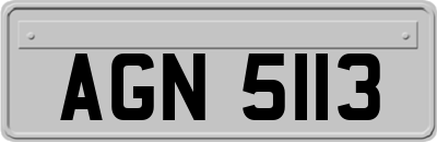 AGN5113