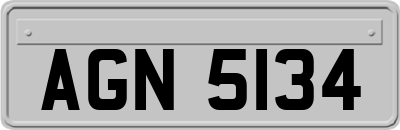 AGN5134