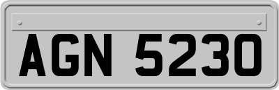 AGN5230