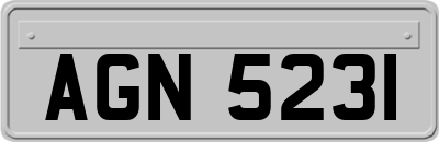 AGN5231