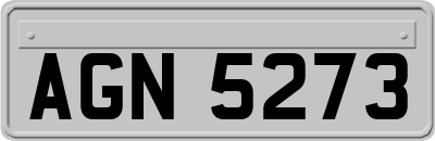AGN5273