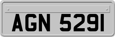 AGN5291