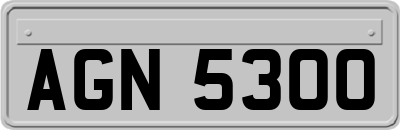 AGN5300
