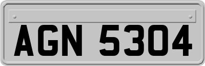 AGN5304