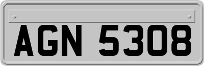 AGN5308