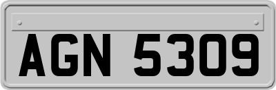 AGN5309