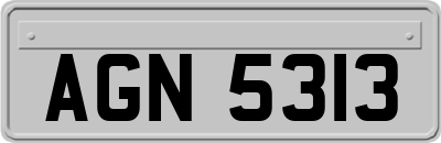 AGN5313