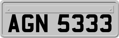 AGN5333