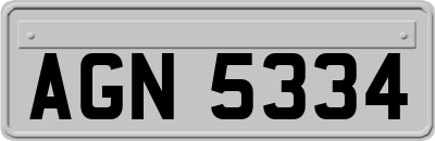 AGN5334