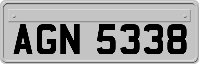 AGN5338