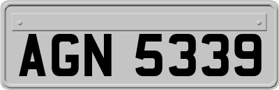 AGN5339