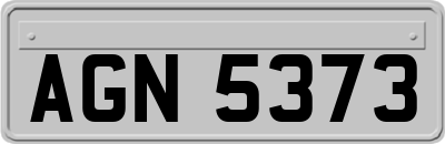 AGN5373