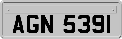 AGN5391