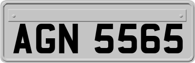 AGN5565