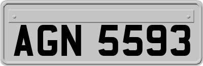 AGN5593