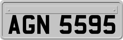 AGN5595
