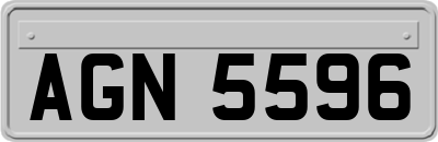 AGN5596