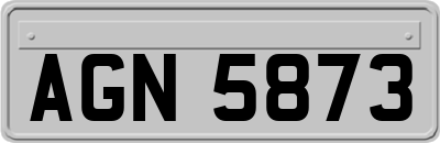 AGN5873