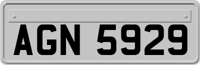AGN5929