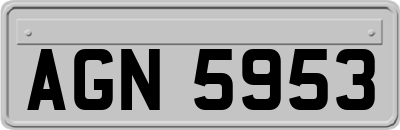 AGN5953