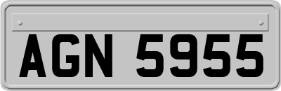 AGN5955
