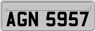 AGN5957