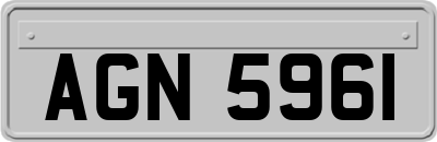 AGN5961