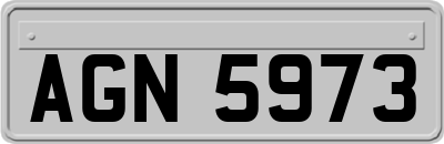 AGN5973