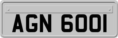 AGN6001
