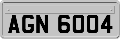 AGN6004
