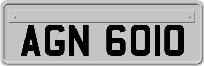 AGN6010